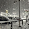 埼玉県入間市でも雪が降りました！
