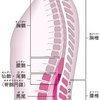 面白い反射