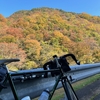 紅葉サイクリング②人形峠、辰巳峠 22/11/12