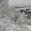 飯士山の樹氷