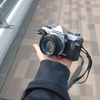 OLYMPUS OM-1を初撮に出かけてきたよ