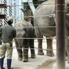 動物園に行く