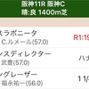 有馬記念の前に、阪神カップ指数 成功！［競馬予想］