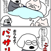 つれない息子