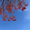 整う場