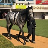 中山競馬7R パドック直前予想 9 コバルトウィング がんばれぇぇぇぇ！！！でも、1番良く見えるのは16 ロンゴノット