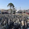 適度にだるい