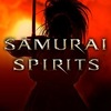 ゲーム：SAMURAI SPIRITS