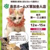 簡単更新