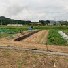 夏野菜の成長と収穫　ーTom家の畑編ー