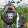 地球市民として知っておきたいコンゴ民主共和国の歴史を学べる英語読本、『Where Is the Congo?』のご紹介