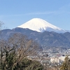 さすが富士山