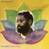 ＜Pitchfork Sunday Review和訳＞Bennie Maupin: The Jewel in the Lotus