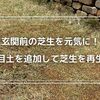 玄関ポーチの芝生を目土で復活！手軽なメンテナンス方法