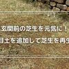 【玄関前の新たな改善策】目土で芝生を元気に