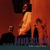 David Sylvian and Robert Fripp - The First Day：ザ・ファースト・ディ -