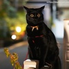 トイレ後に行くところ