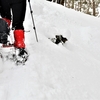 晩冬の奥物部の森遊山　深雪