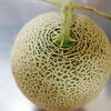 北海道富良野メロンHokkaido Furano Melon