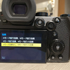 LUMIX S5IIの常時プレビューの使い勝手