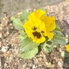 公園で起きていた事と母の思い