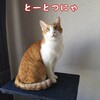 インスタ映えの裏側をみる