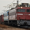 2024年　11月を振り返る