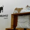 MOHU MOHU CAFE（モフモフカフェ）〜猫ちゃんに癒されに行きませんか？〜