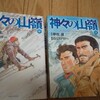 神々の山嶺　後半　漫画感想