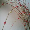 紅白の餅花飾りの作業にBGMが必要です！