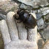 経験しないと分からない事