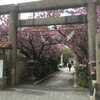 【櫻宮（桜宮神社）】（さくらのみやじんじゃ）大阪市都島区