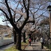 飯田橋お堀沿いの桜　／　松戸中華そば　富田食堂　＠　JR常磐線・松戸駅