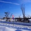 大雪の影響が続いてます