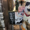 保護猫カフェ【ねこかつ】