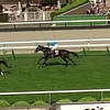 【札幌記念2023年レポート！】プログノーシス圧勝＆【第7レース】1773万馬券の衝撃