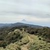 伊豆    小達磨山（こだるまやま）へ