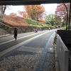 駒沢公園ハーフ 
