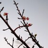 女子力とか女らしさって一体...