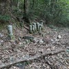 盂蘭盆を迎えるマワシ