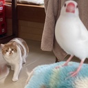 毎日にして荘厳