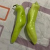 【アルゼンチンの野菜】～ピーマンなのかシシトウなのか～　＠自宅