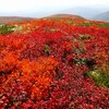 紅葉の栗駒山