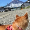 今日は雨かな❓夢ちゃん予報