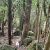 福智山登山 with ザック