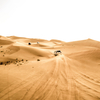 The online portal supplies booking facility for desert safari deals and city tours