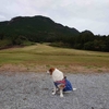 雨のち曇りのち晴れ