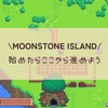 序盤の進め方/Moonstone island