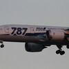  NH JA812A B787-8