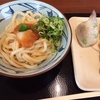 冷やしぶっかけうどん